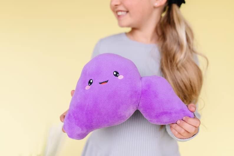 nerdbugs Peluche anatómico de hígado, divertido regalo de trasplant...