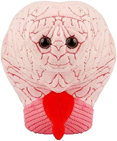 GIANT MICROBES Brain Plush, cerebro anatómico con detalles bordados...