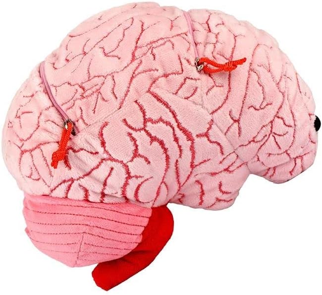 GIANT MICROBES Peluche de cerebro de lujo de 9.5 pulgadas, incluye...