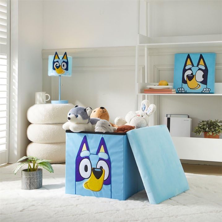 Bluey Cubo otomano de almacenamiento plegable con tapa, organizador...