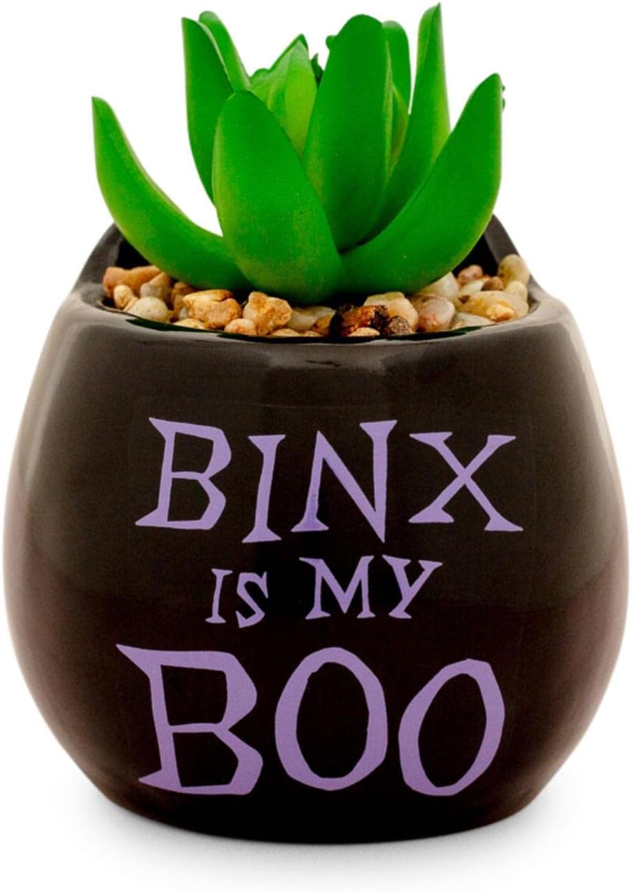 Toynk Disney Hocus Pocus Binx is My Boo - Mini maceta de cerámica d...