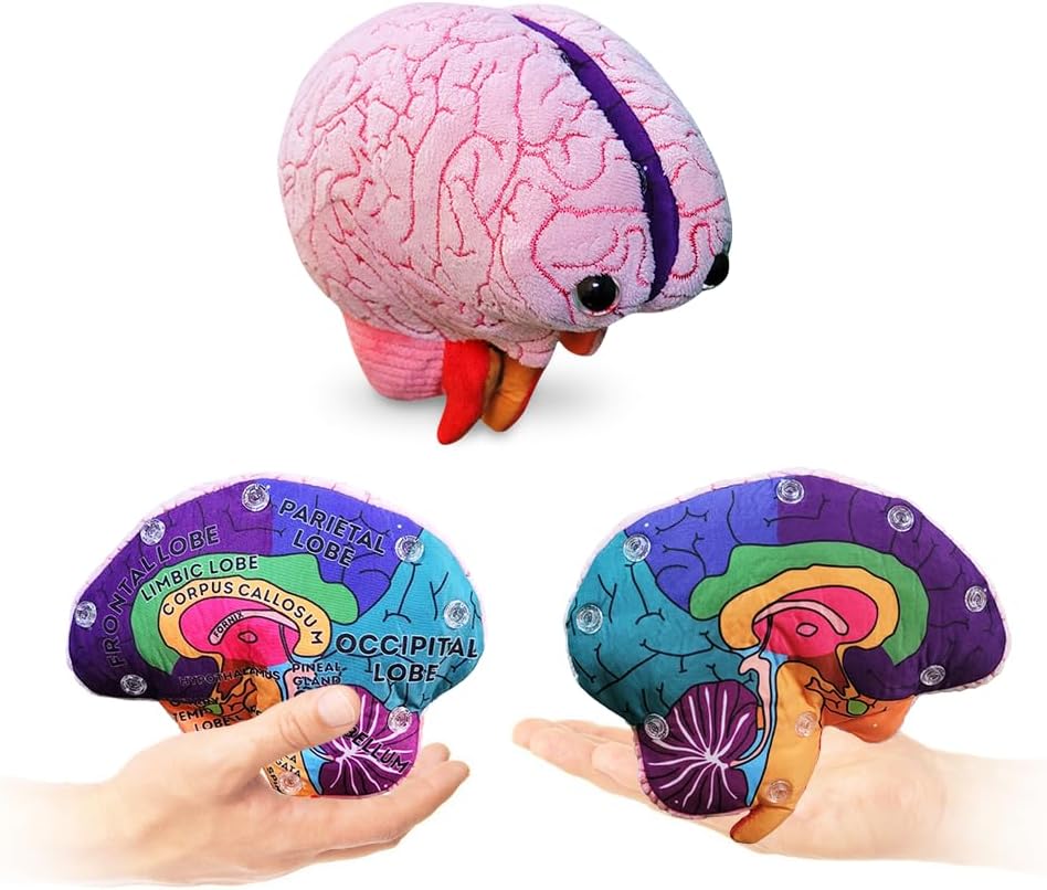 GIANTmicrobes Brain Model Anatomy Plush con detalles bordados | Her...