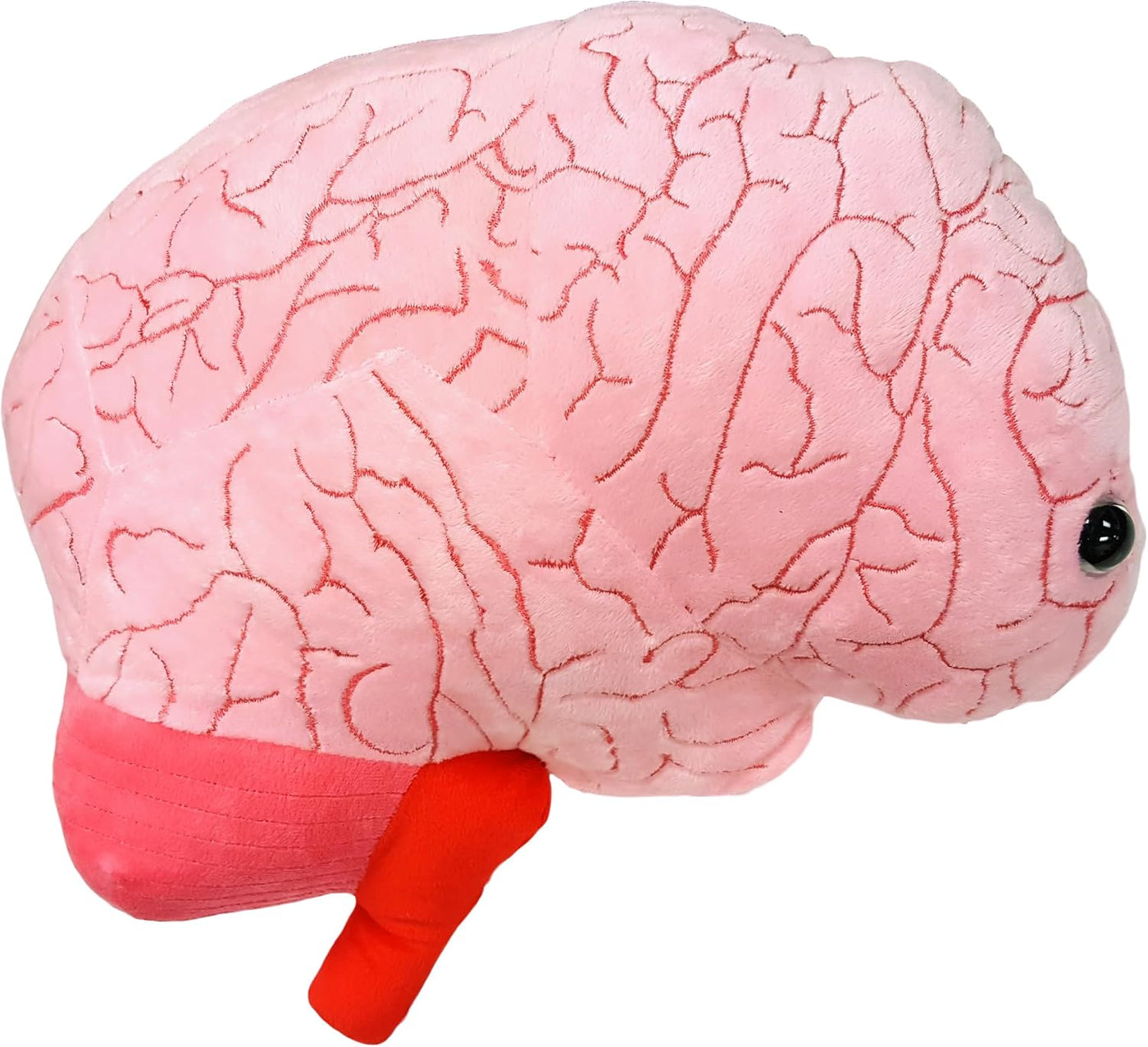 GIANT MICROBES Gigante peluche de órgano cerebral de 17 pulgadas, r...