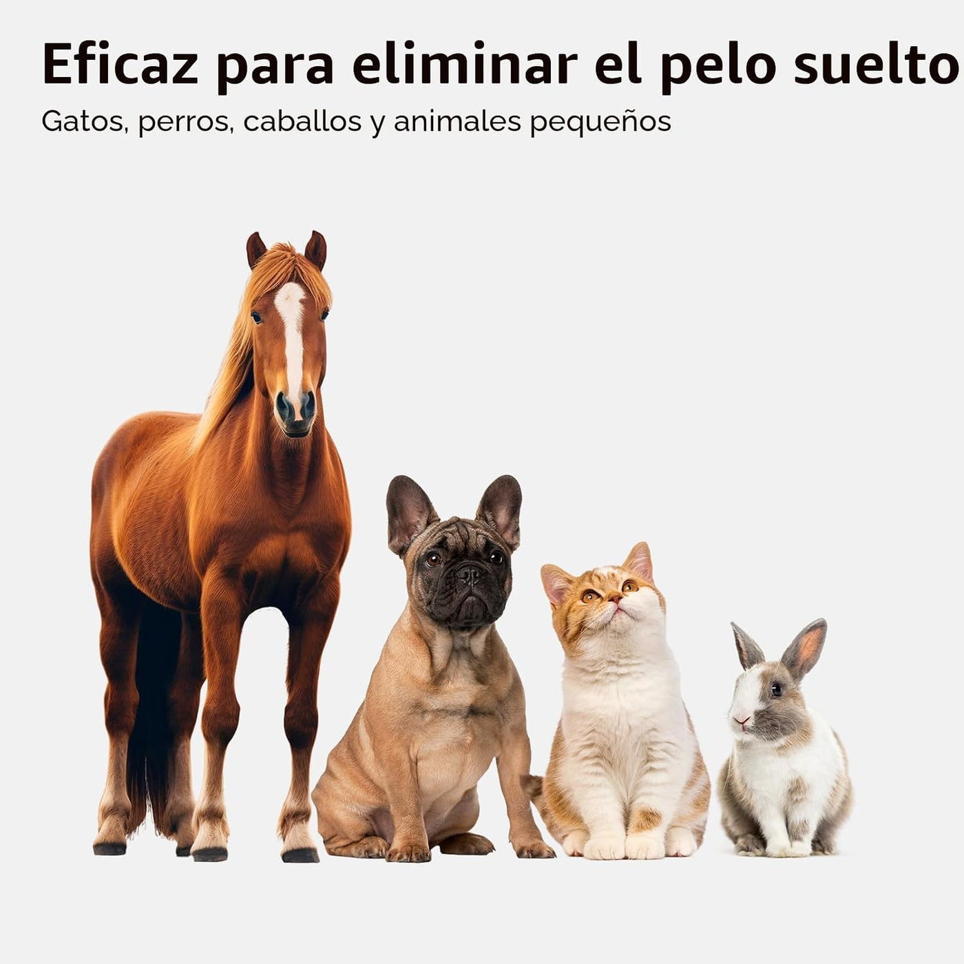 Aumuca Cepillo 2 en 1 para Gatos y Perros