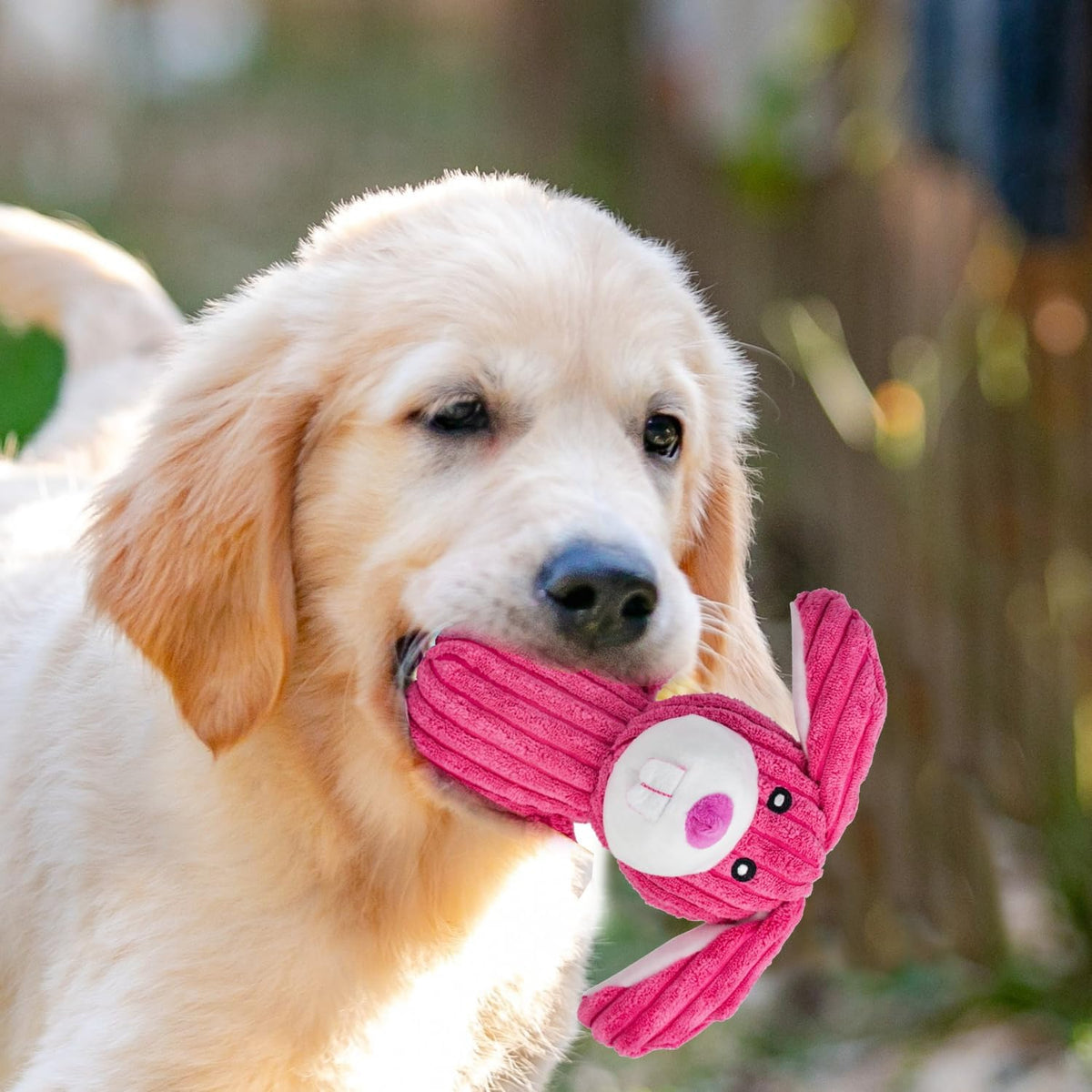 MRSOHRET Paquete de 5 juguetes chirriantes para perros, juguetes de...