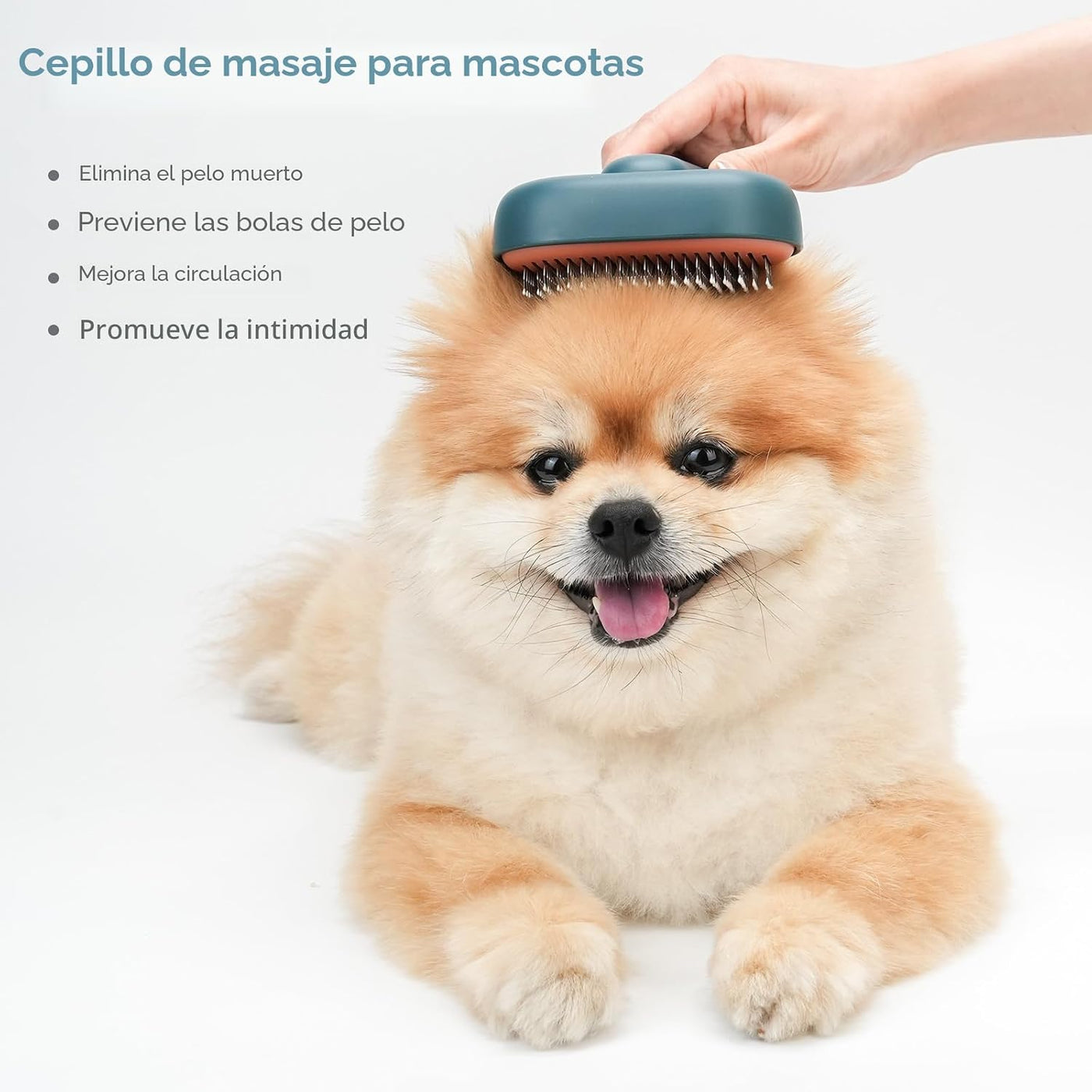 Aumuca Cepillo para Perros - Pelo Suelto