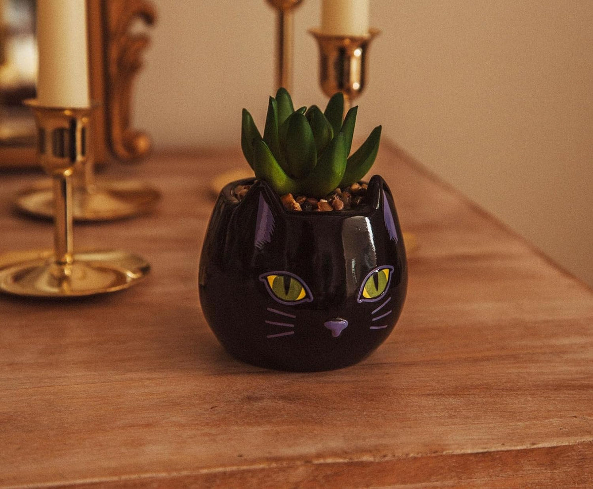 Toynk Disney Hocus Pocus Binx is My Boo - Mini maceta de cerámica d...