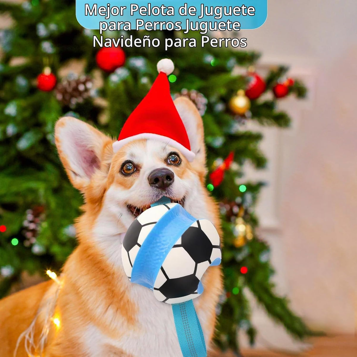 Eneston Pelotas de juguetes para perros, pelota de fútbol interacti...