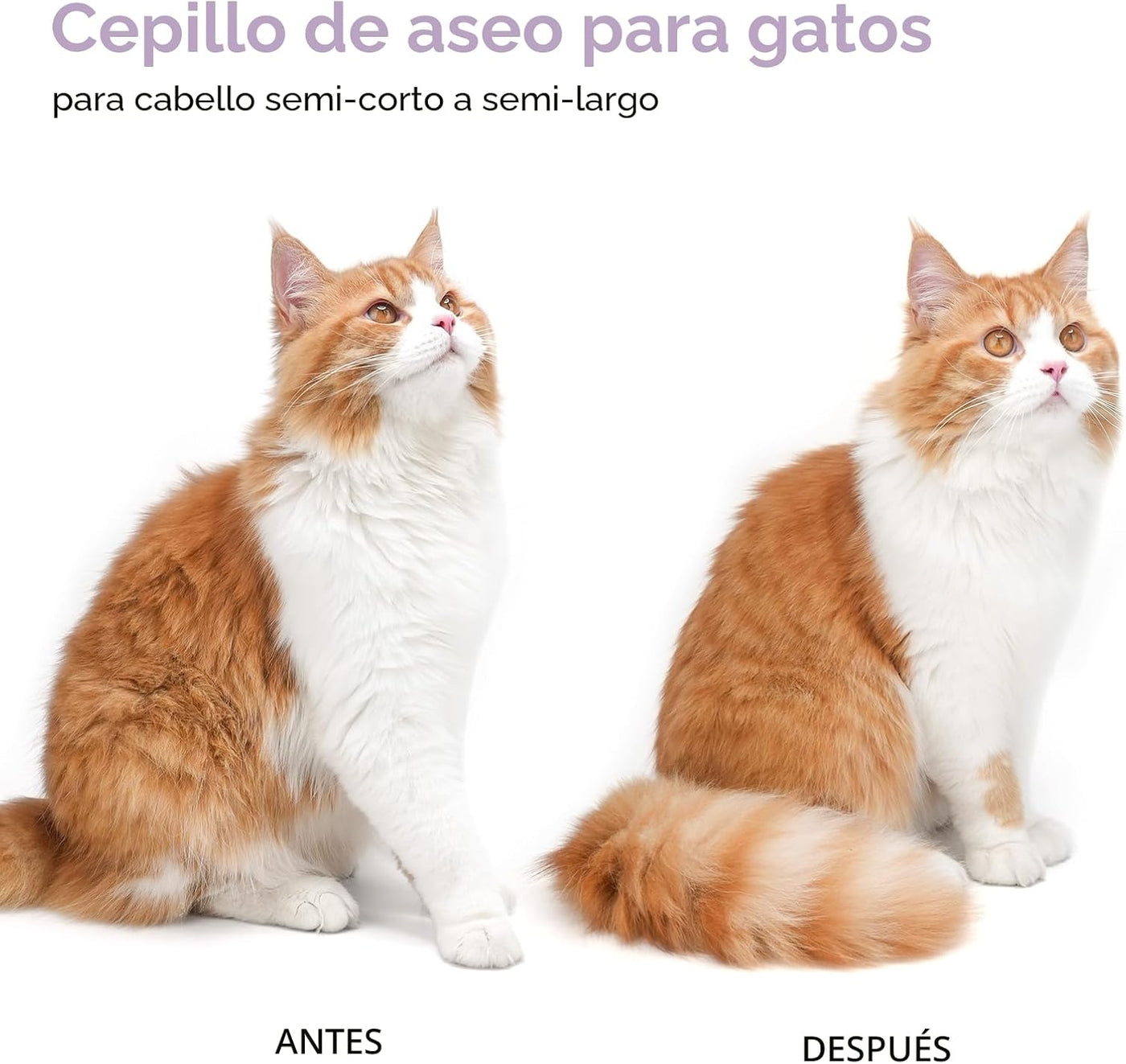 Aumuca Cepillo de Aseo para Gatos y Perros