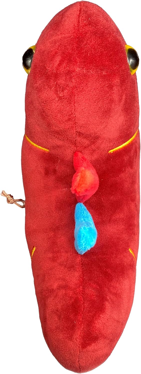 GIANT MICROBES Peluche de riñón de lujo de 12 pulgadas, incluye pel...