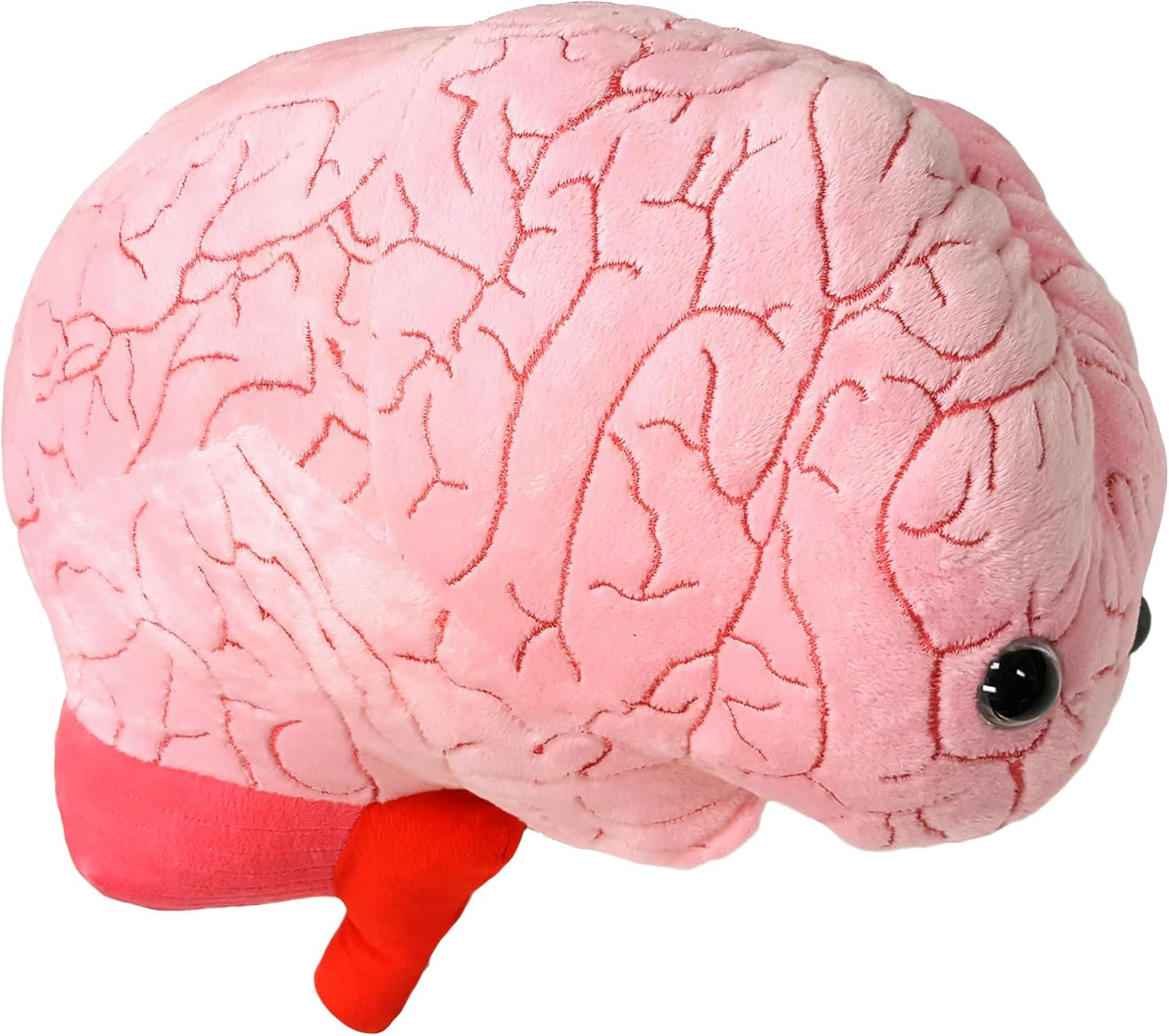 GIANT MICROBES Gigante peluche de órgano cerebral de 17 pulgadas, r...