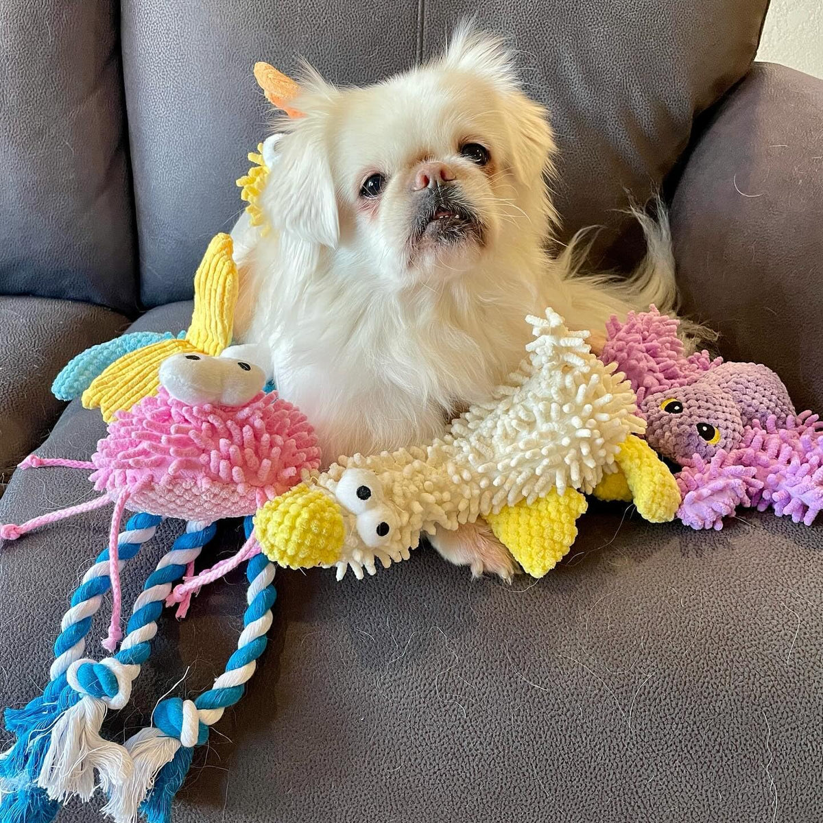 Nocciola Paquete de 5 juguetes chirriantes para perros, lindos y su...