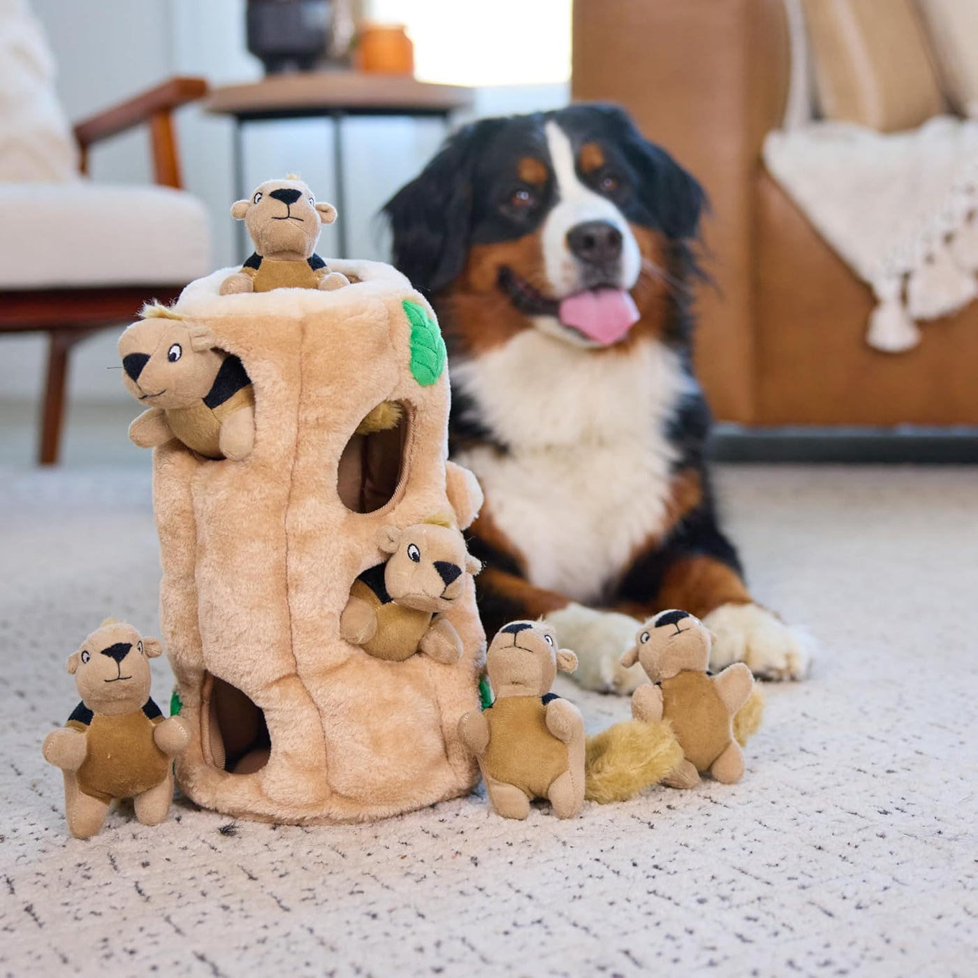 Outward Hound Hide A Squirrel - Rompecabezas de peluche para perro,...