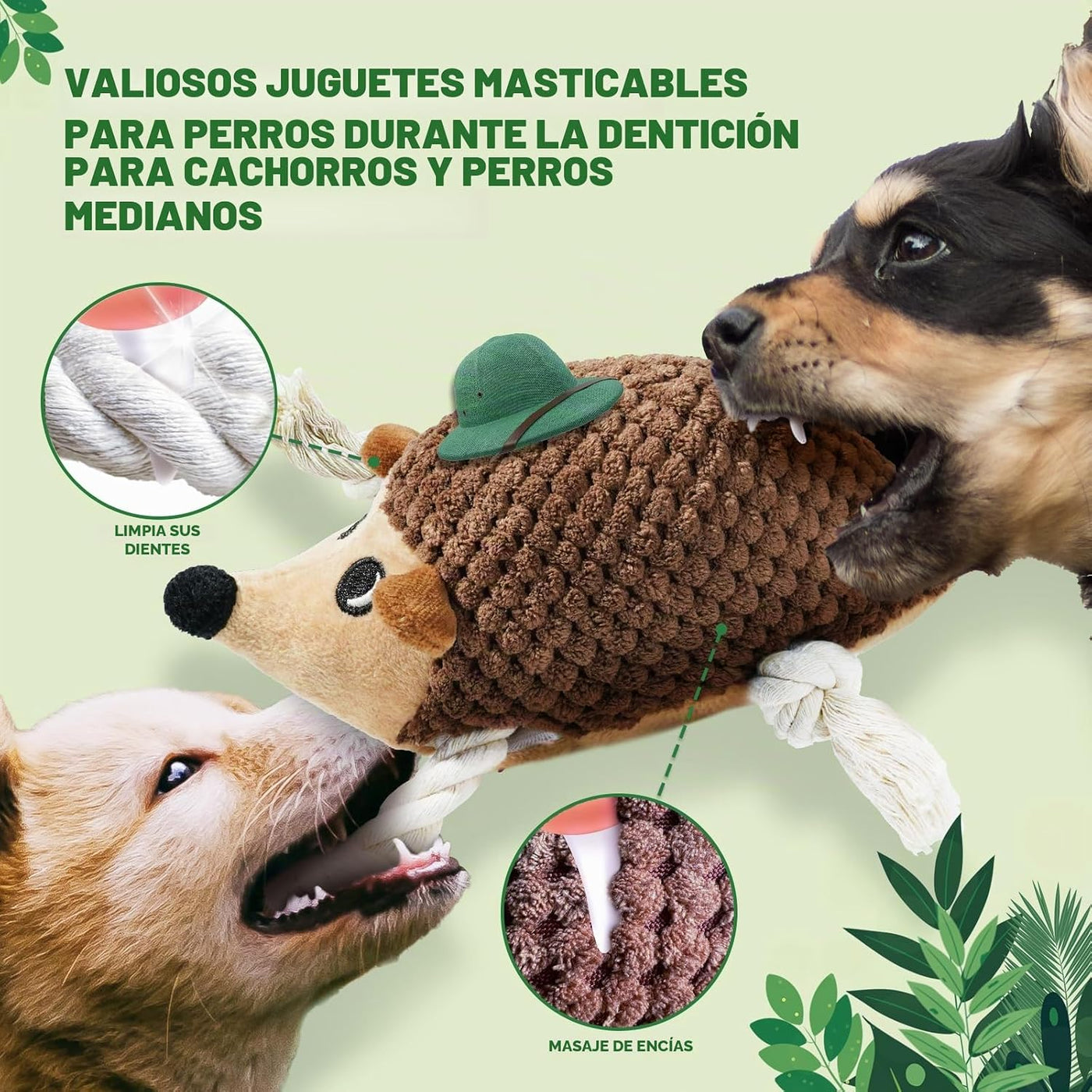 LEGEND SANDY Juguetes chirriantes para cachorros, paquete de 5 jugu...