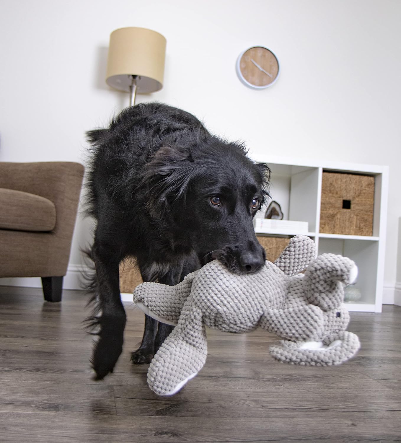 goDog Checkers - Juguete chirriante afelpado para perro, con tecnol...