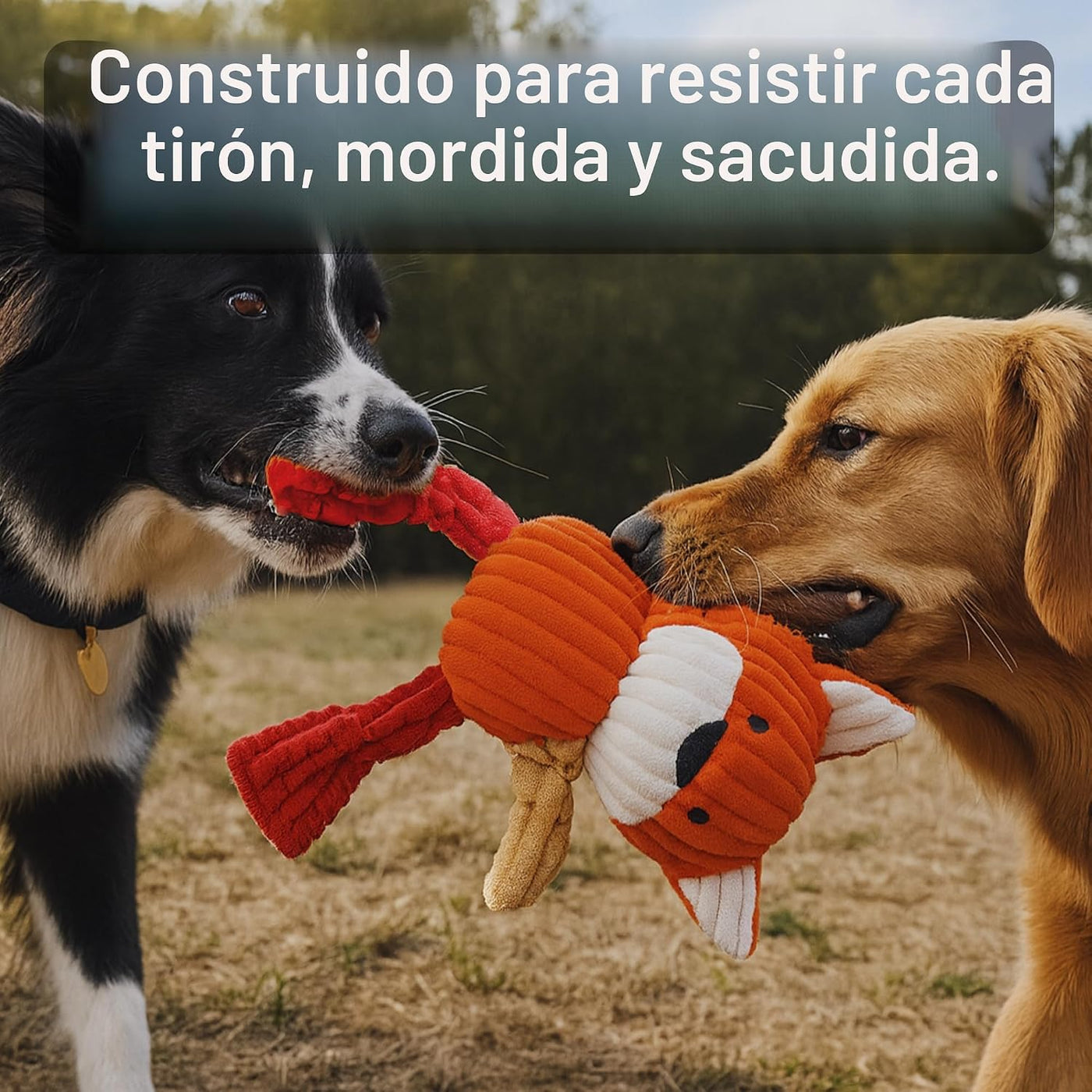 Jalousie Paquete surtido de juguetes de peluche para cachorros y ma...
