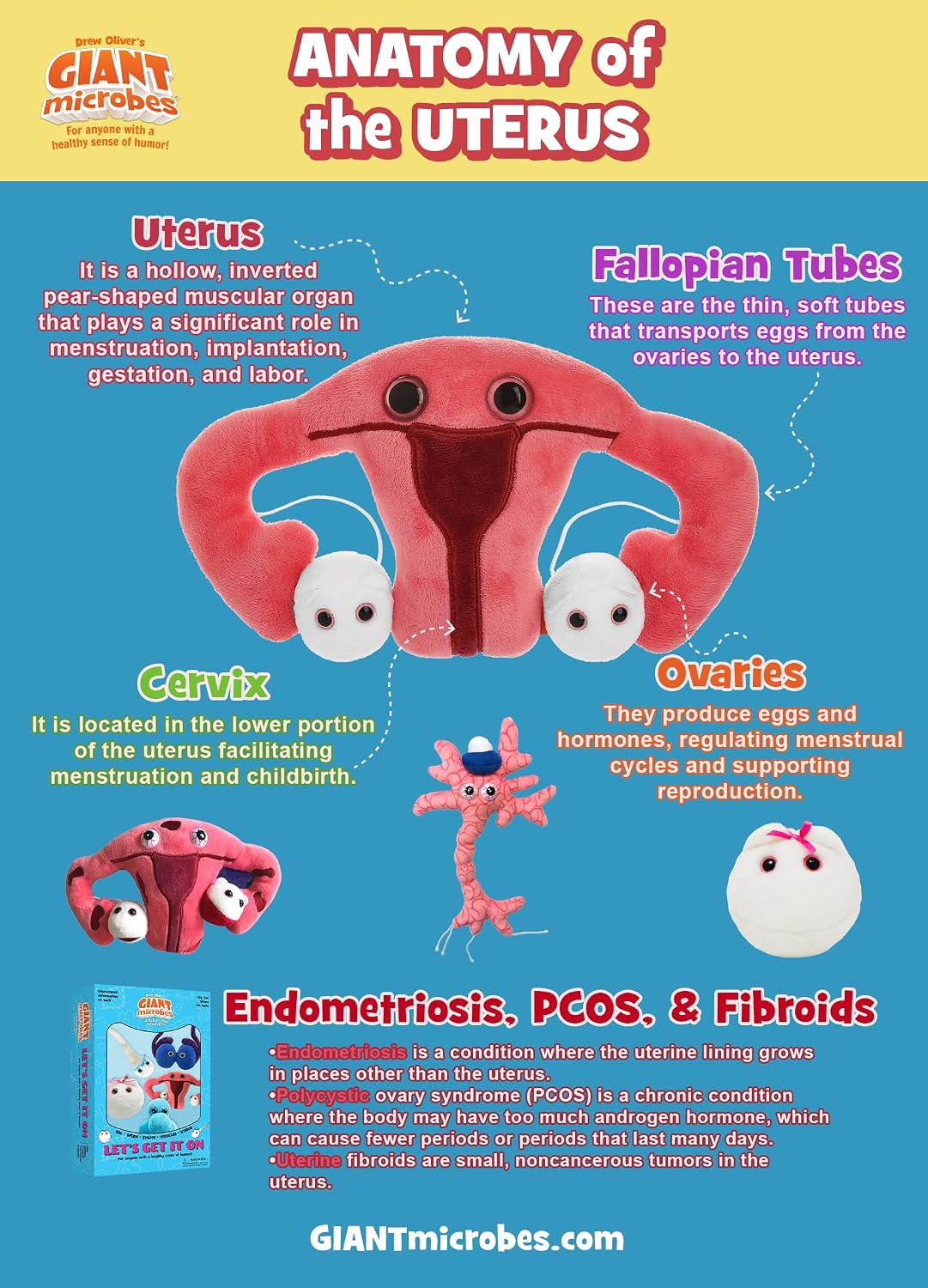 GIANT MICROBES Juguete de peluche de útero, regalos de histerectomí...