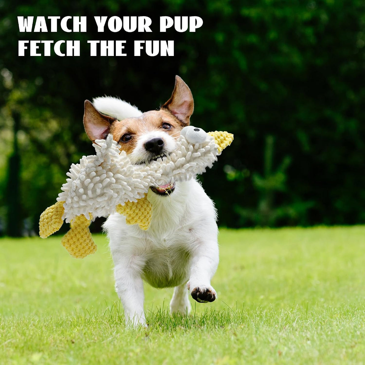 Nocciola - Juguetes de peluche chirriantes para perros, lindos jugu...