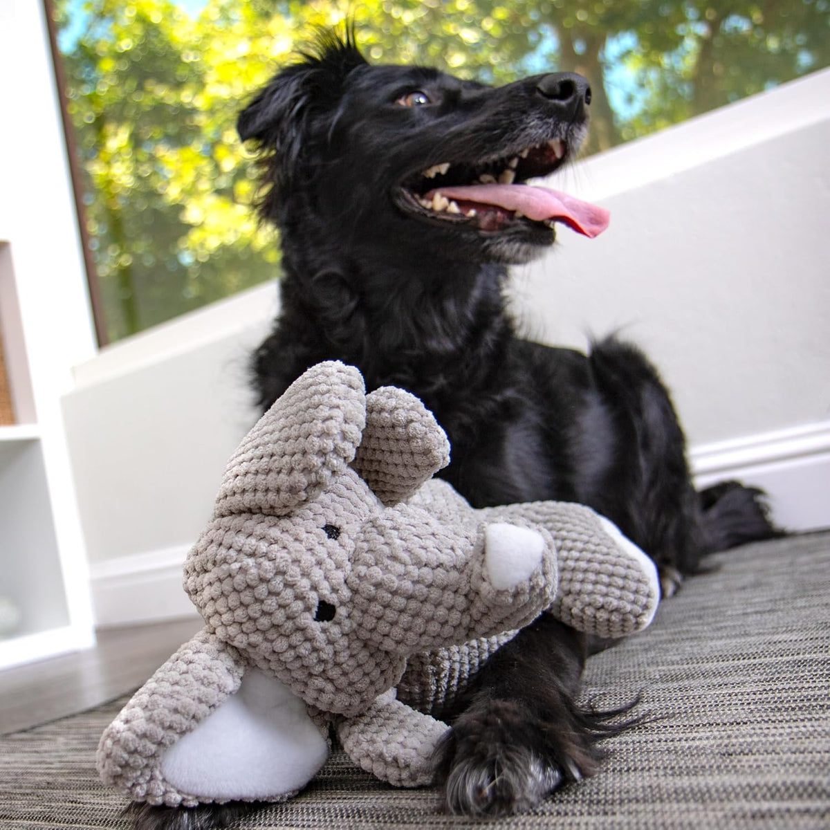 goDog Checkers - Juguete chirriante afelpado para perro, con tecnol...