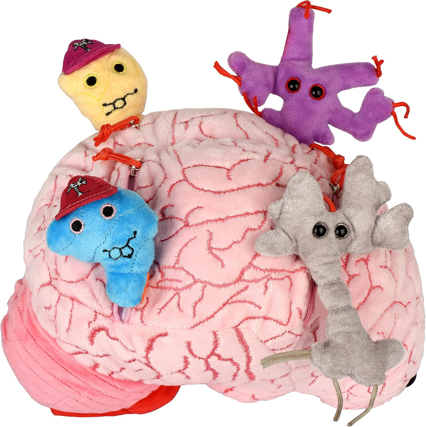 GIANT MICROBES Peluche de cerebro de lujo de 9.5 pulgadas, incluye...