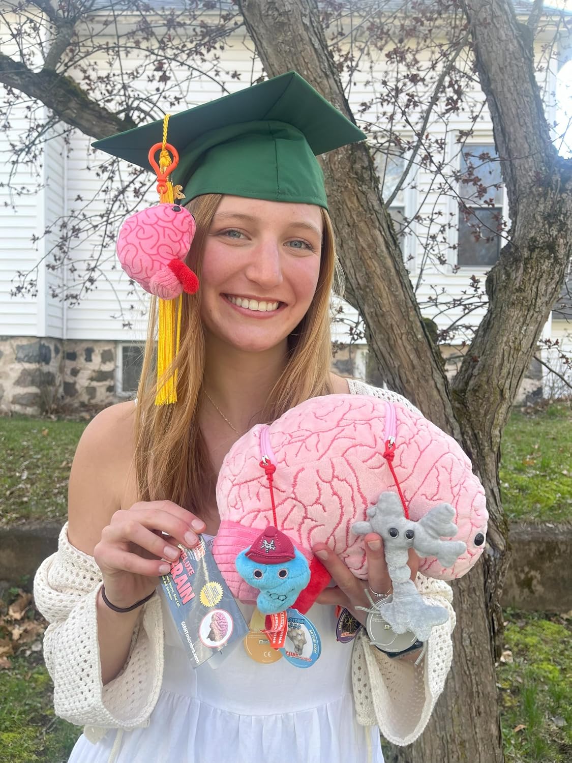 GIANT MICROBES Peluche de cerebro de lujo de 9.5 pulgadas, incluye...