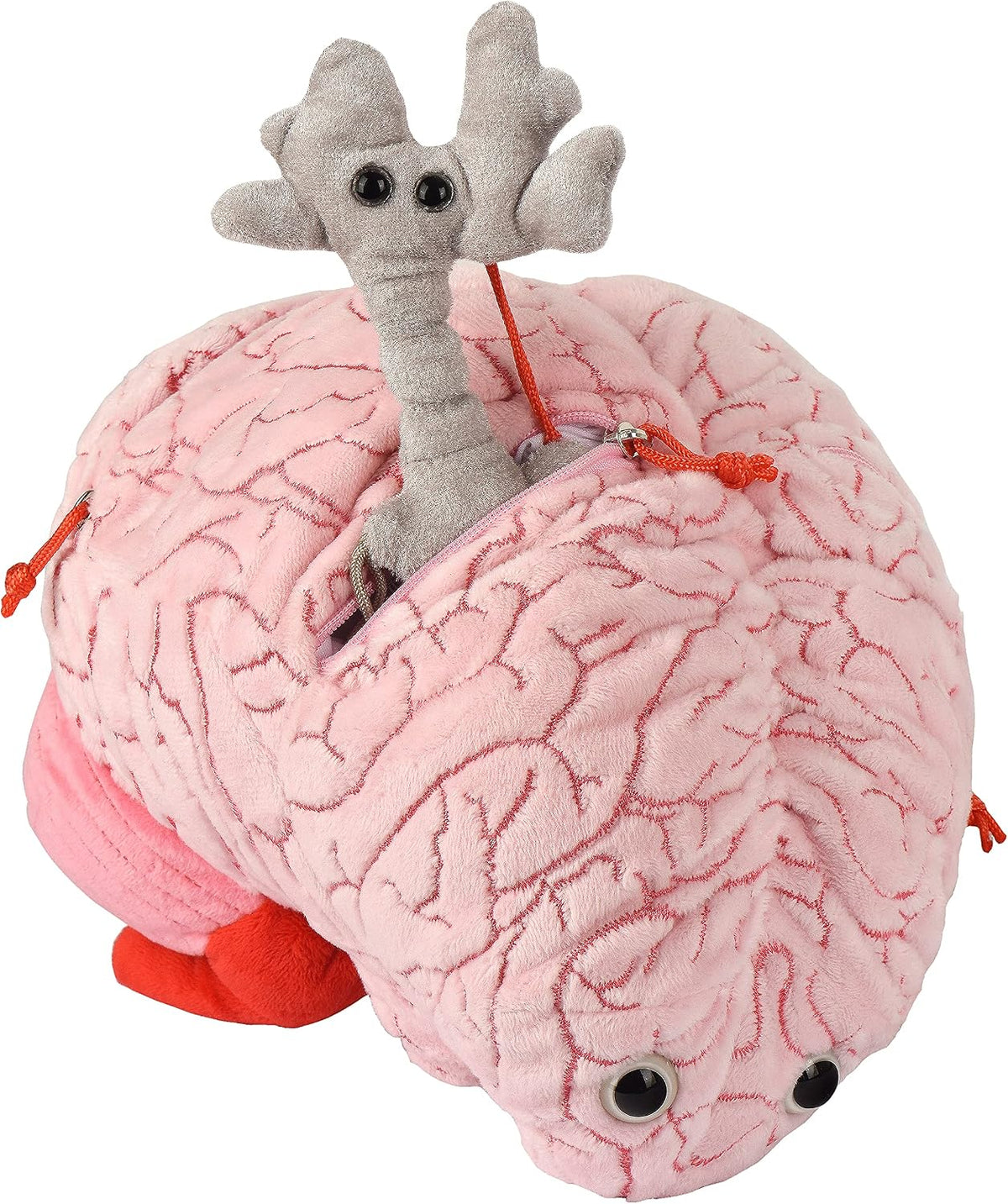 GIANT MICROBES Peluche de cerebro de lujo de 9.5 pulgadas, incluye...