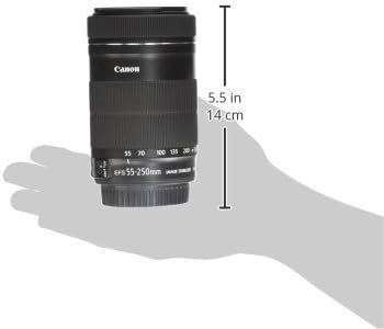 Canon 55-250mm STM.