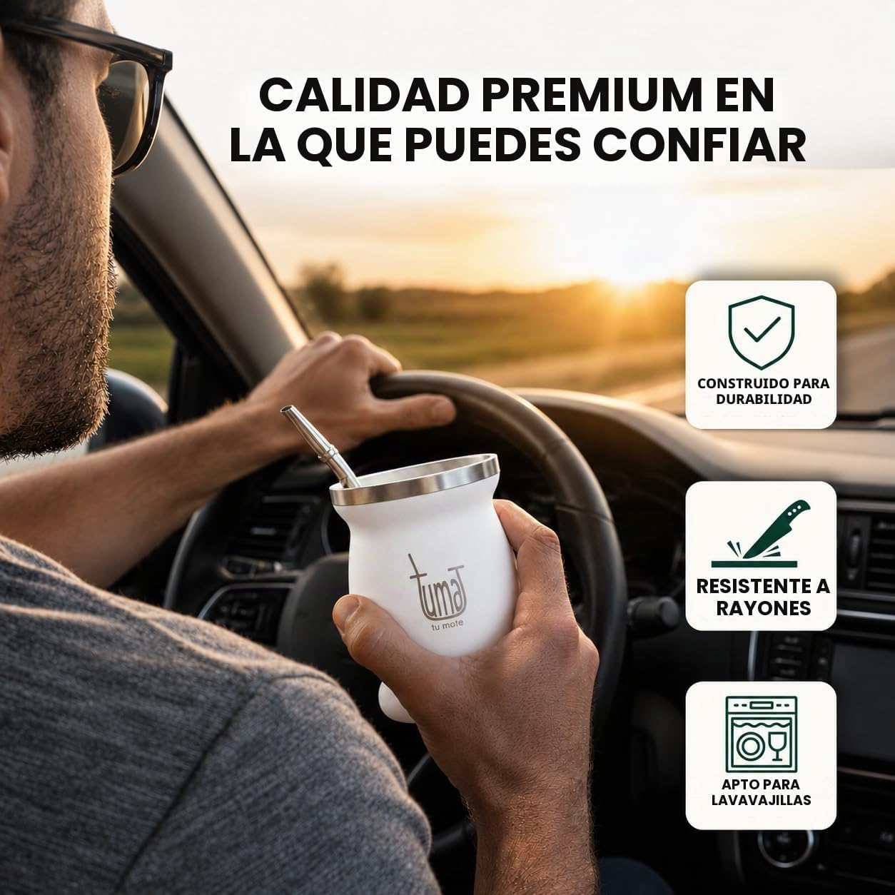 Kit completo de yerba mate, incluye taza mate, pajita (Bombilla), termo de 750ml (25.4 fl oz), bolsa y dos regalos (contenedor de yerbero y calentador de inmersión para automóvil), juego de yerba mate