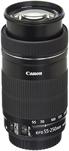 Canon 55-250mm STM.