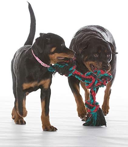 Mammoth Flossy Chews - Tirador de cuerda multicolor de 5 nudos, jug...
