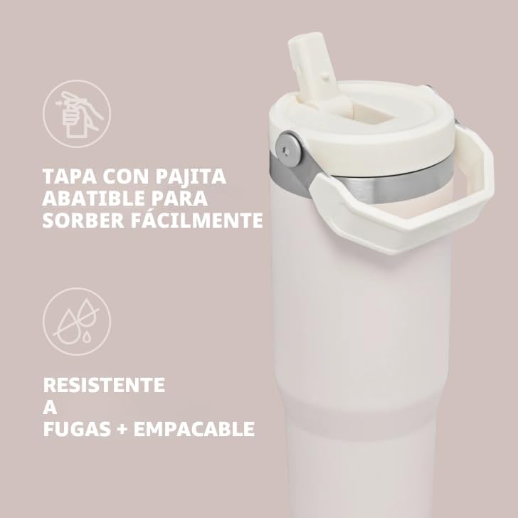 Stanley IceFlow - Vaso con pajilla abatible con asa, 30 onzas, tapa...