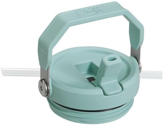 Stanley IceFlow - Vaso con pajilla abatible con asa, 30 onzas, tapa...