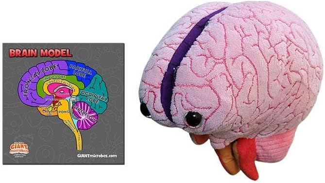 GIANTmicrobes Brain Model Anatomy Plush con detalles bordados | Her...