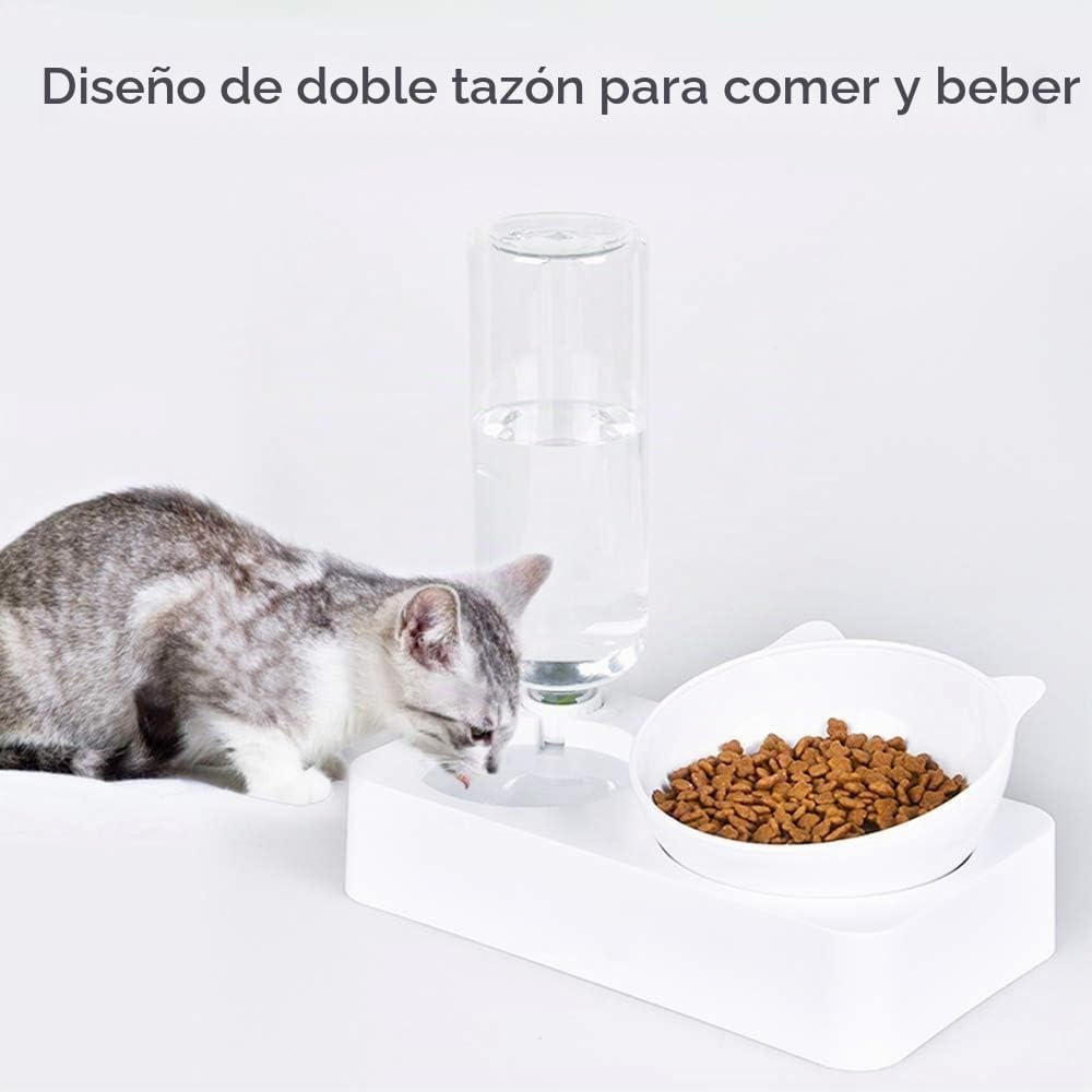 Marchul Cuencos para gatos, cuencos de comida para mascotas, cuenco...