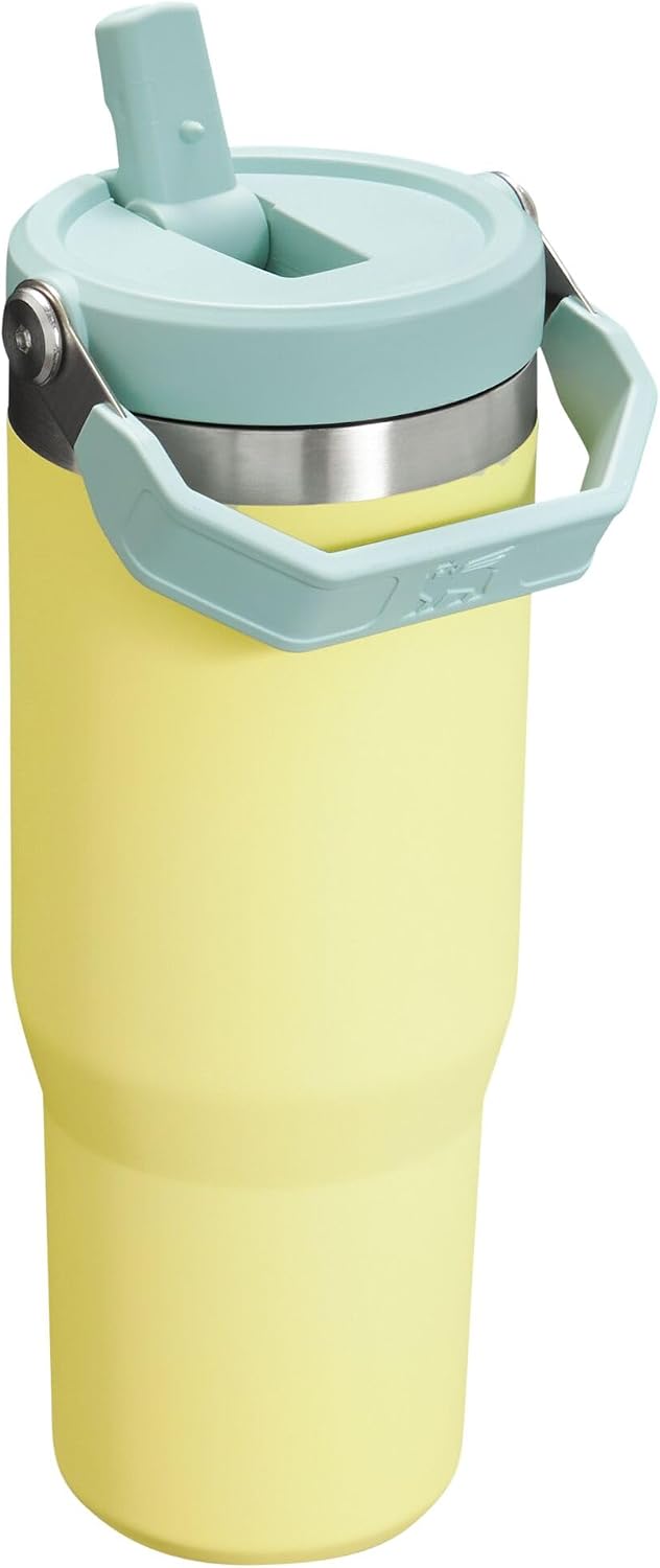 Stanley IceFlow - Vaso con pajilla abatible con asa, 30 onzas, tapa...
