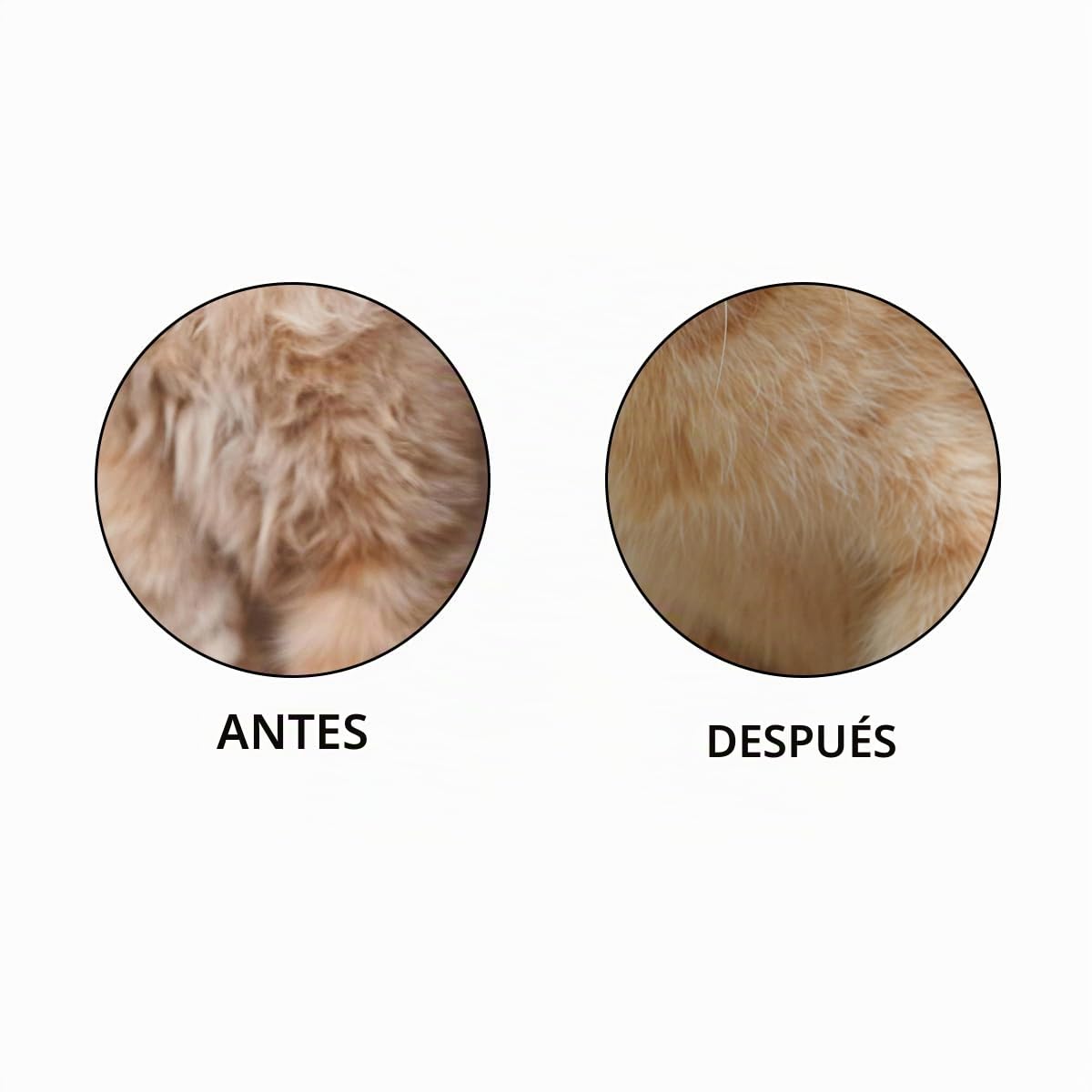 2 peines de limpieza para gatos y perros, herramienta de eliminació...