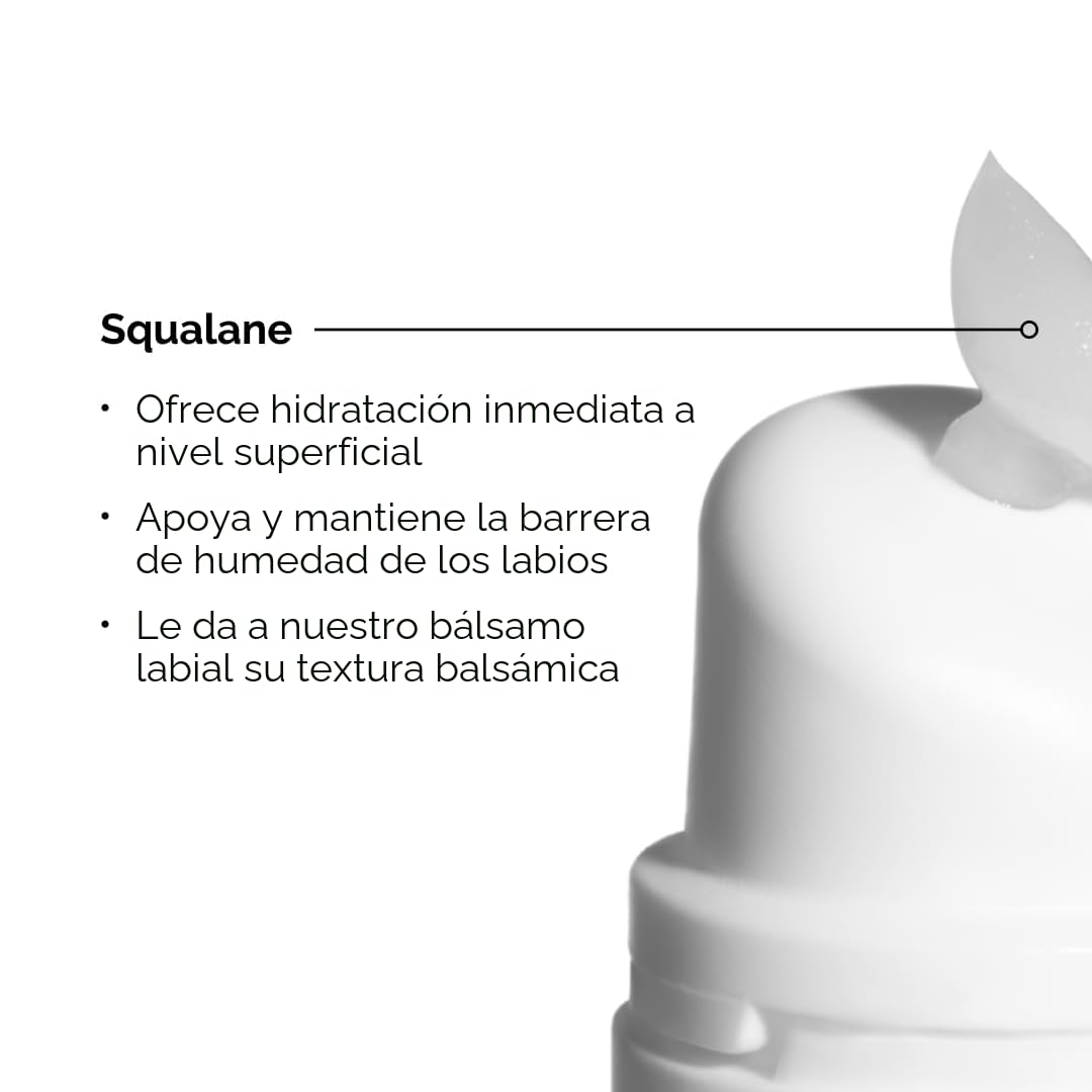 The Ordinary Lip Care Duo - Set de cuidado de la piel - PHA 5% suer...