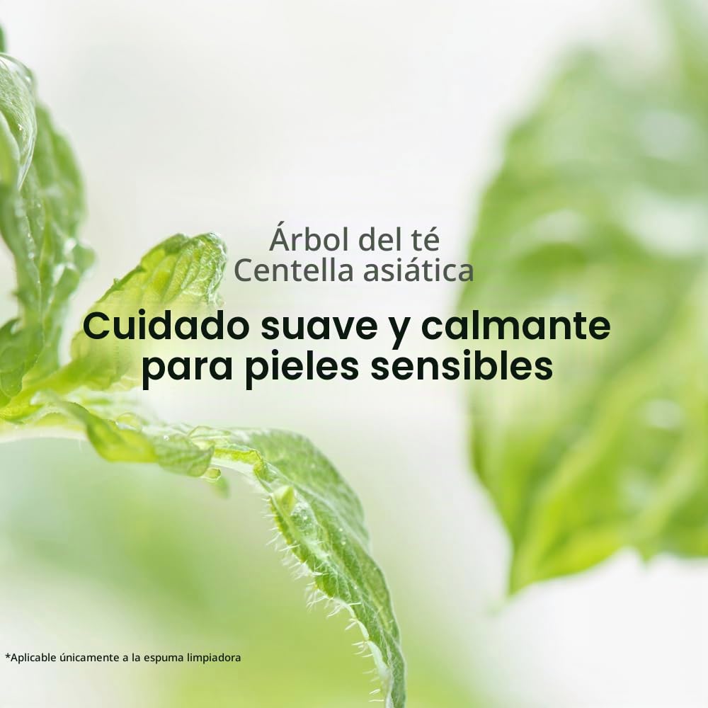 Pyunkang Yul PKY - Juego de regalo de prueba esencial, espuma limpi...