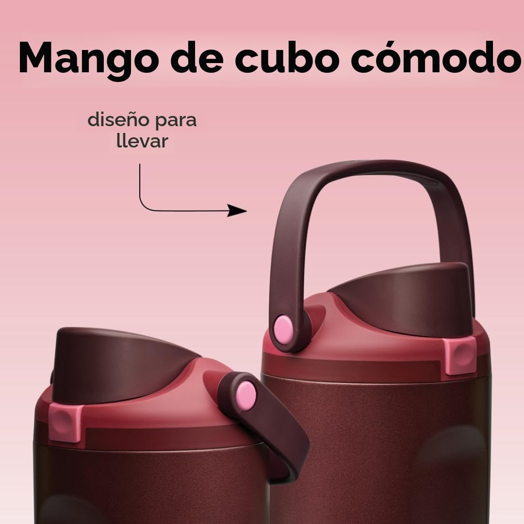 Botella de agua Owala FreeSip con aislamiento de acero inoxidable c...