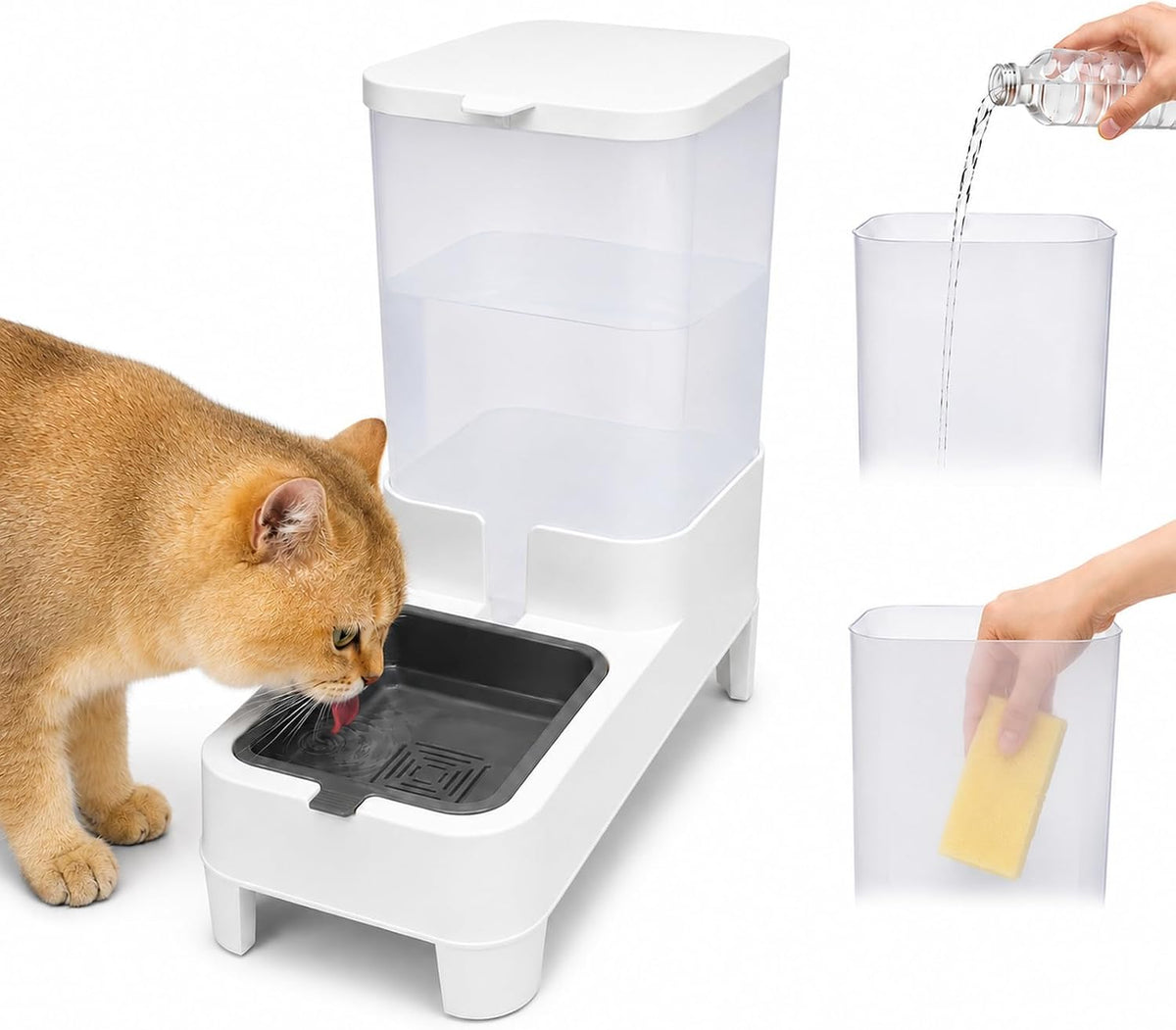 Dispensador automático del agua del gato de la gravedad elevó el re...