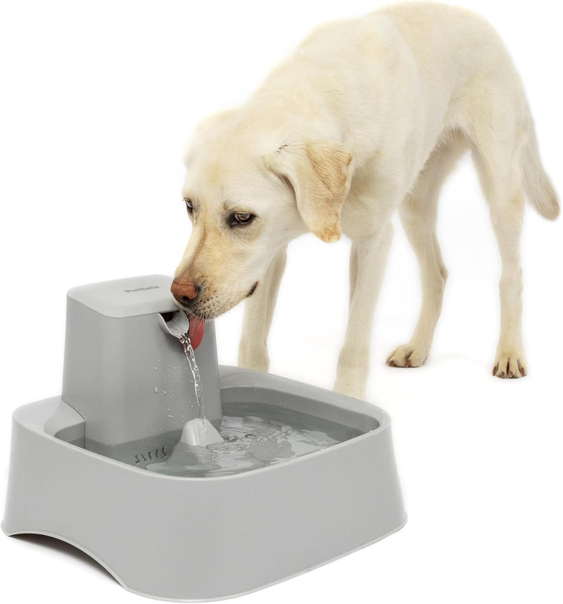 PetSafe Drinkwell Fuente para Mascotas, Dispensador de Tazón de Agu...