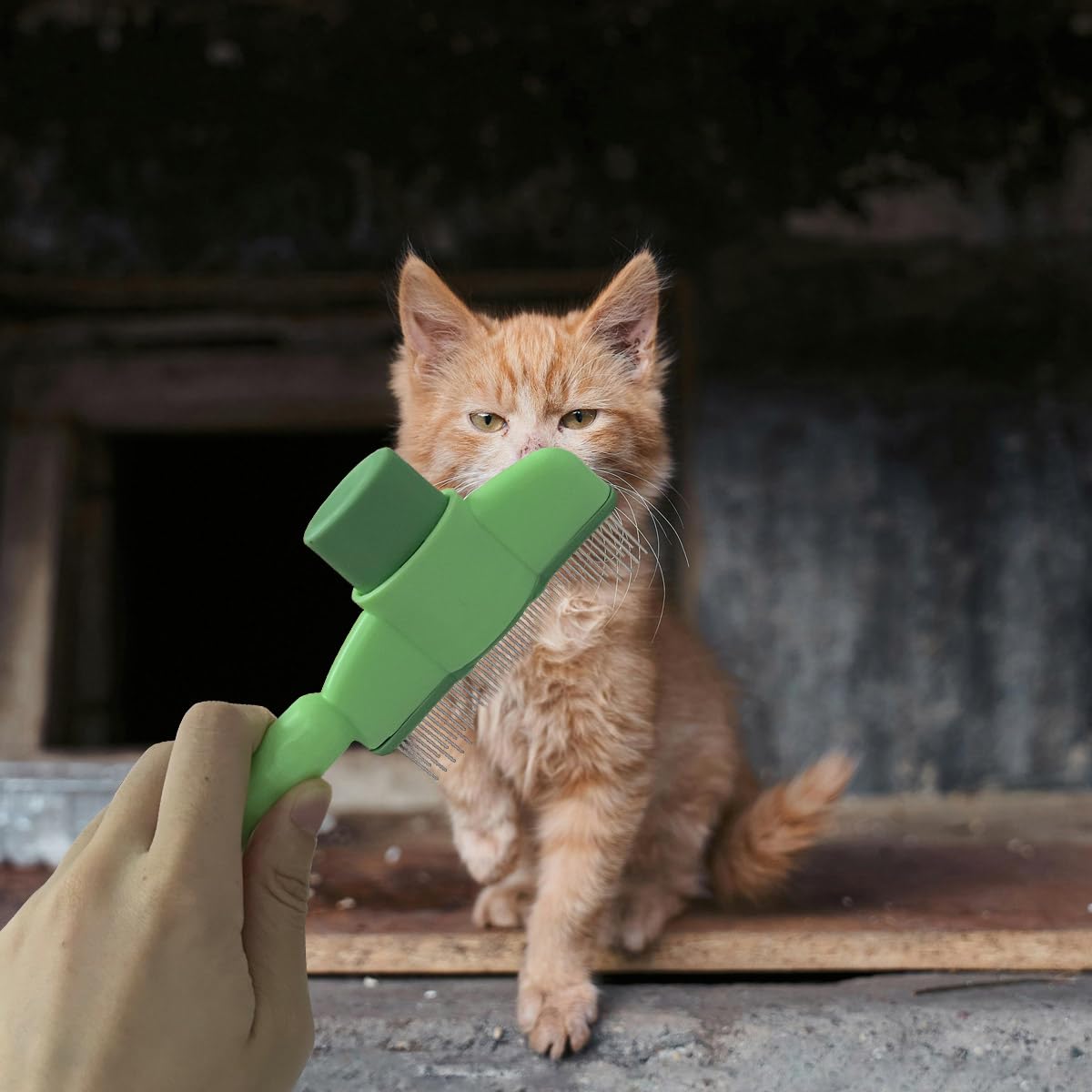 2 peines de limpieza para gatos y perros, herramienta de eliminació...