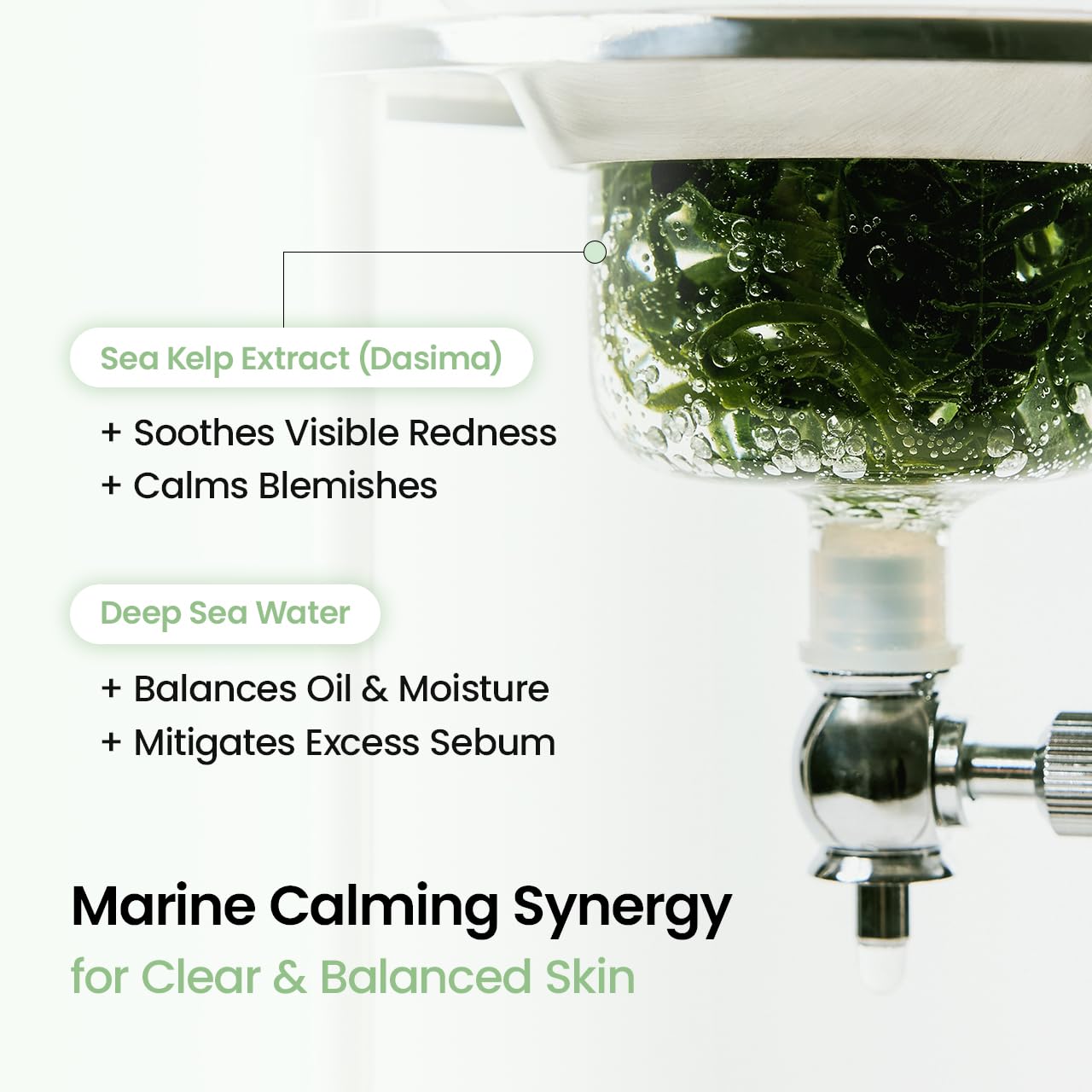 BIODANCE Máscara Refrescante de Algas Marinas