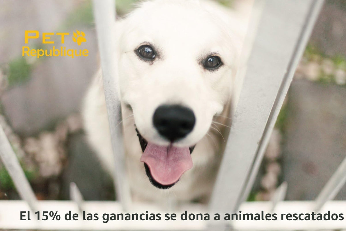 Rastrillo para peinar Pet Republique, herramienta para peinar perro...