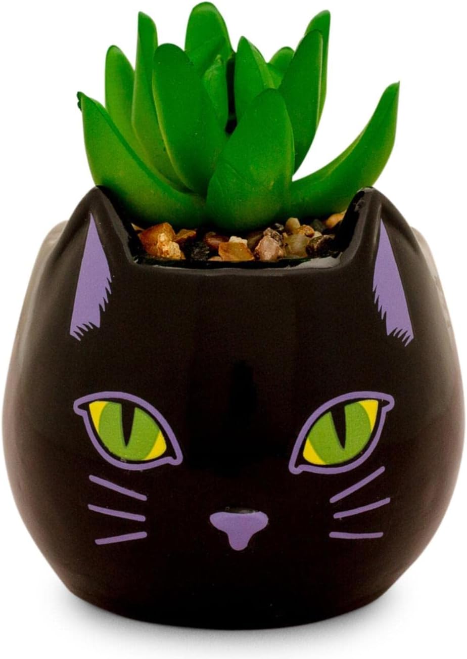 Toynk Disney Hocus Pocus Binx is My Boo - Mini maceta de cerámica d...