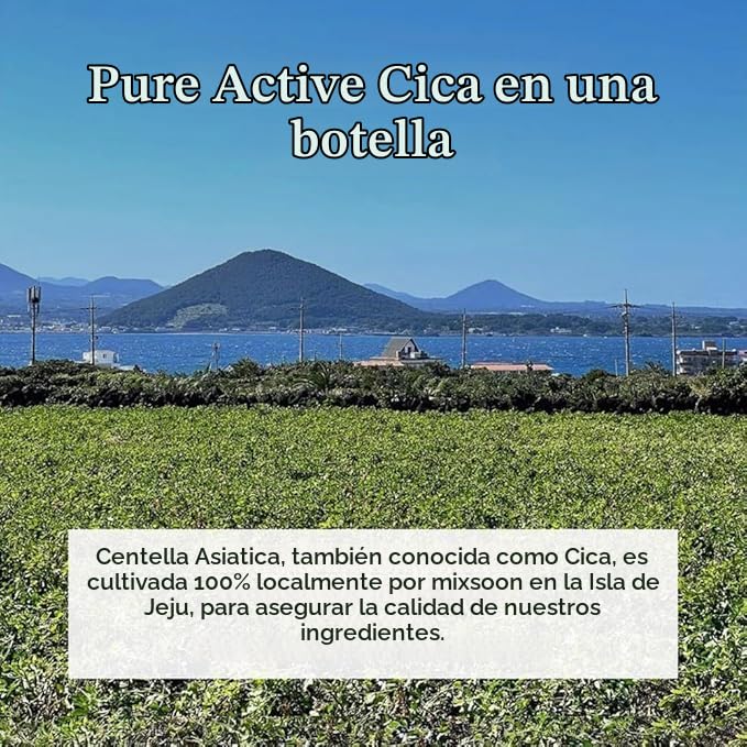 mixsoon Soondy Centella Asiatica Esencia calmante y calmante para l...