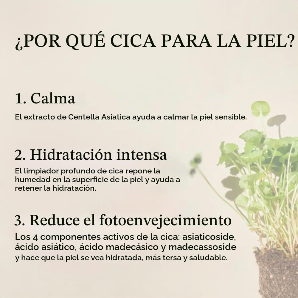mixsoon Soondy Centella Asiatica Esencia calmante y calmante para l...