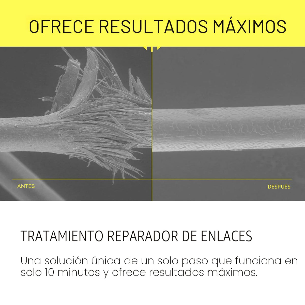 epres Bond Kit de inicio de tratamiento de reparación para cabello...