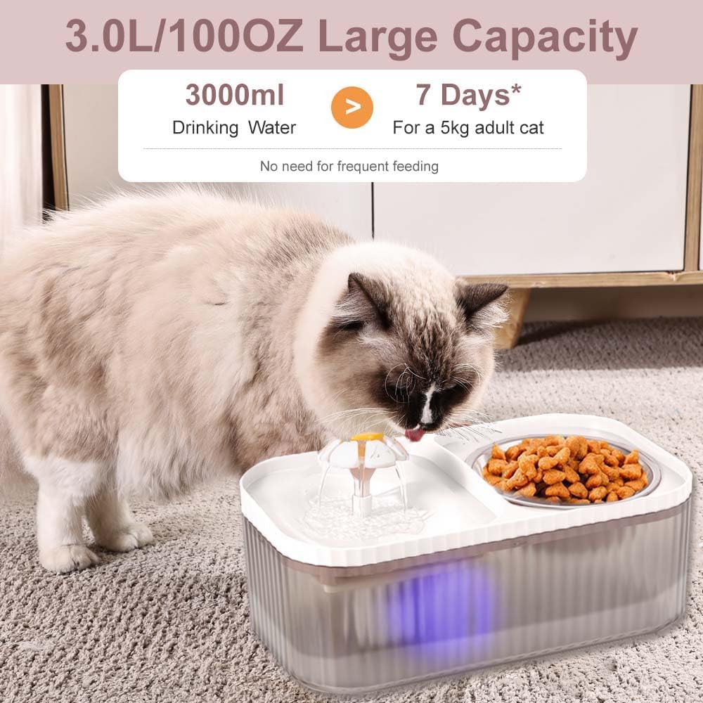 Marchul Fuente de agua para gatos y cuenco de comida de acero inoxi...