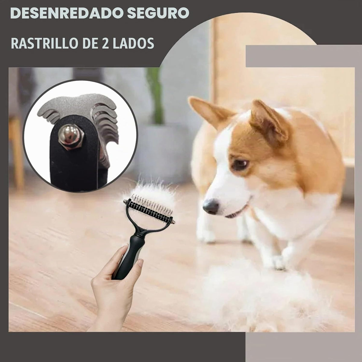 Juego de 5 piezas de aseo para perro, cachorro, cepillo para deshed...